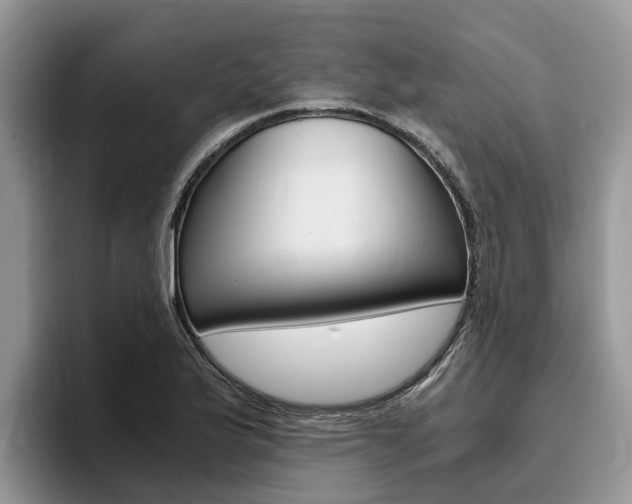 X0000096181175200801180844