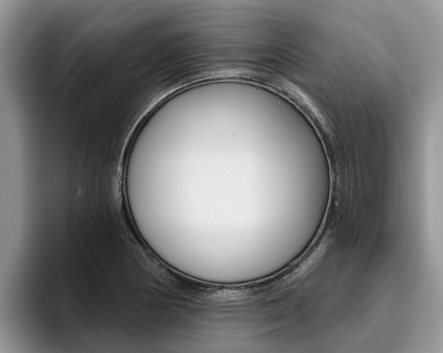 X0000096181178200801180844