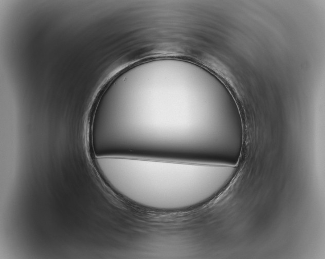 X0000096181179200801180844