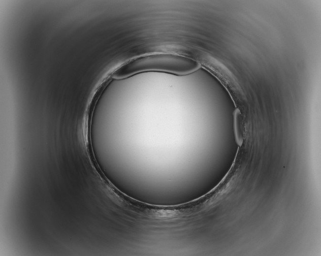 X0000096181180200801180844