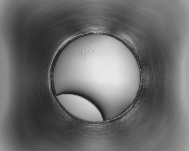 X0000096181182200801180844