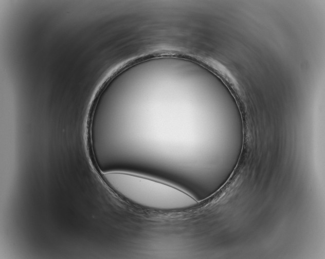 X0000096181183200801180844