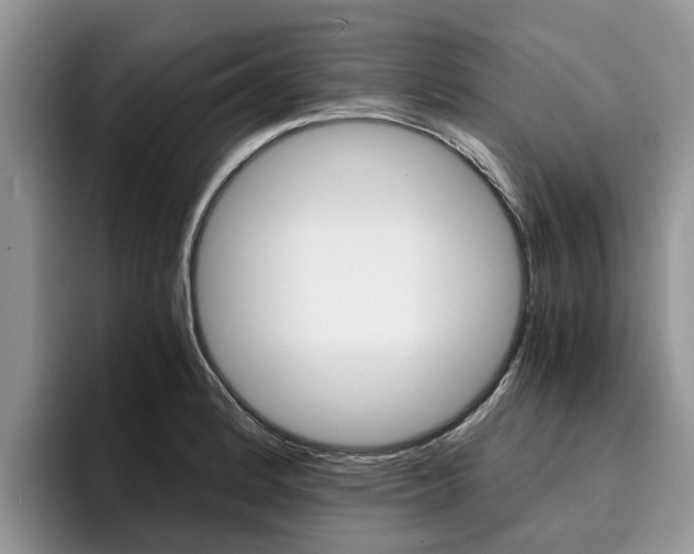 X0000096181184200801180844