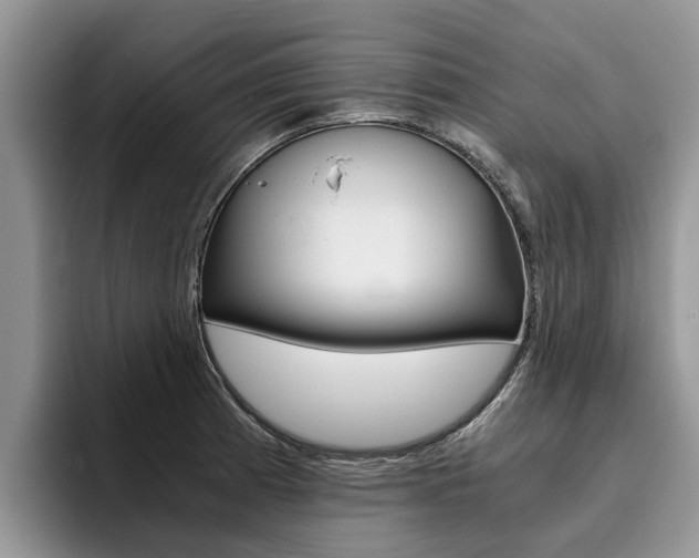 X0000096181185200801180844