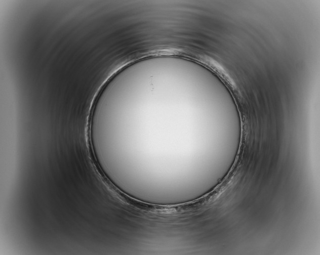 X0000096181186200801180844