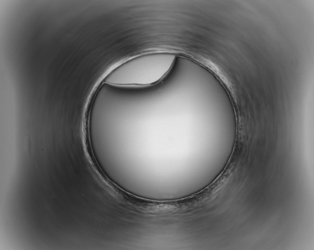 X0000096181187200801180844