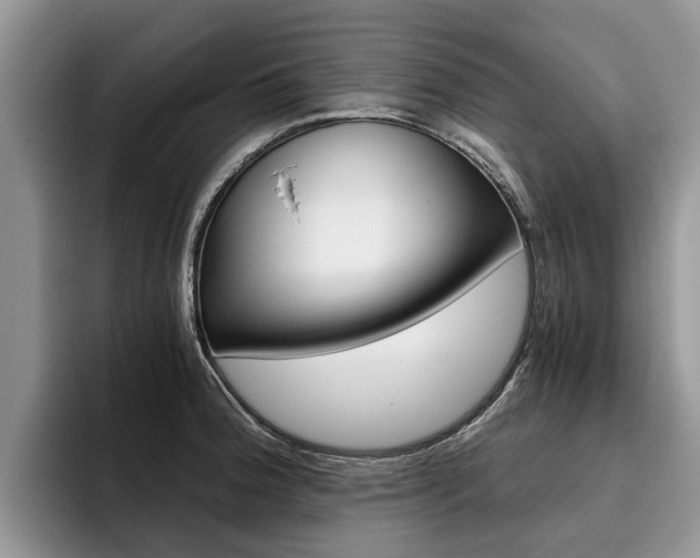 X0000096181188200801180844