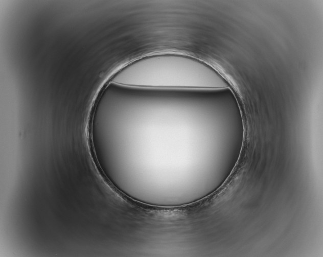X0000096181189200801180844