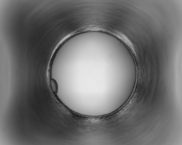 X0000096181190200801180844