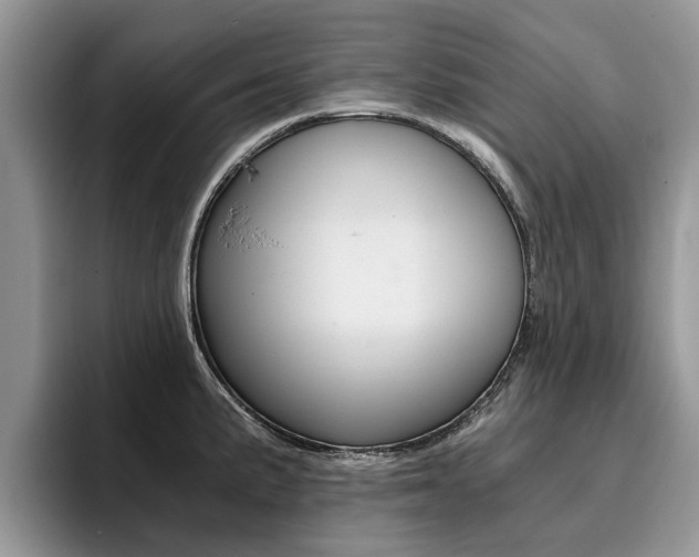 X0000096181191200801180844