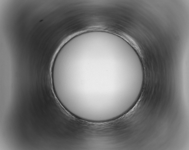 X0000096181192200801180844