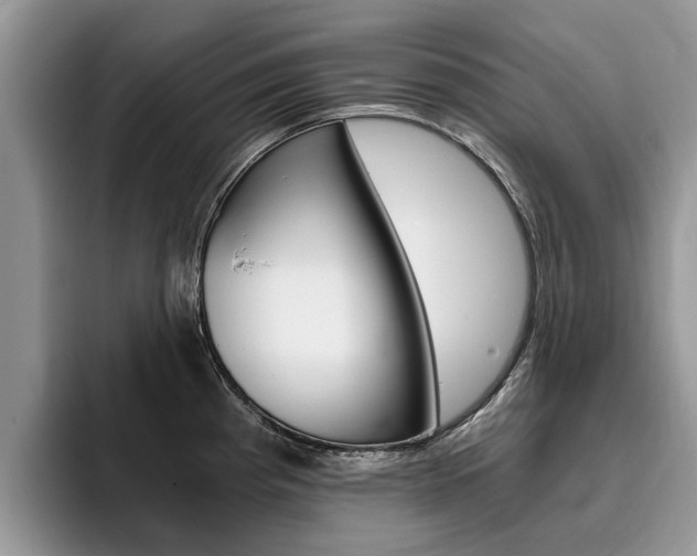 X0000096181193200801180844