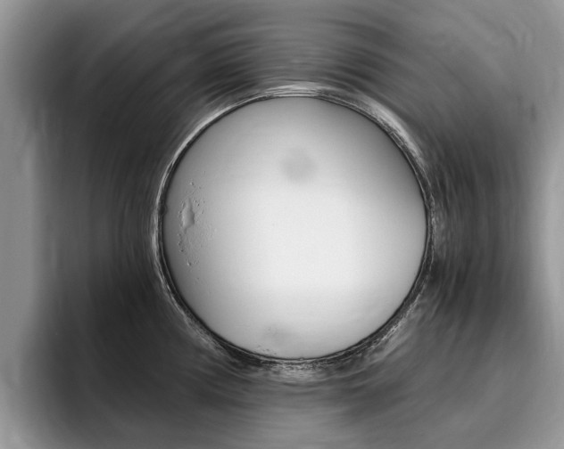 X0000096181194200801180844
