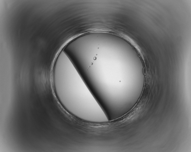 X0000096181195200801180844