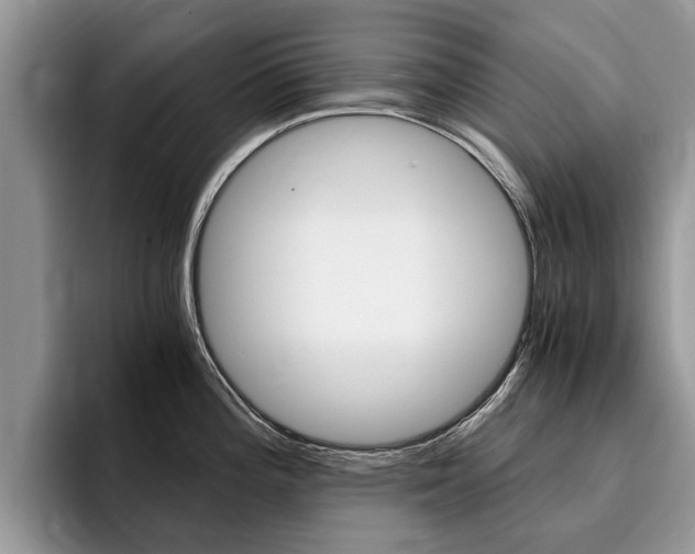 X0000096181196200801180844