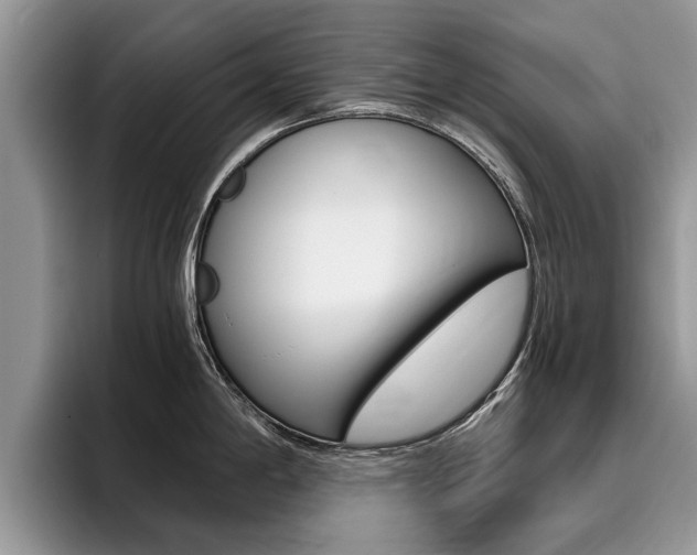 X0000096181198200801180844