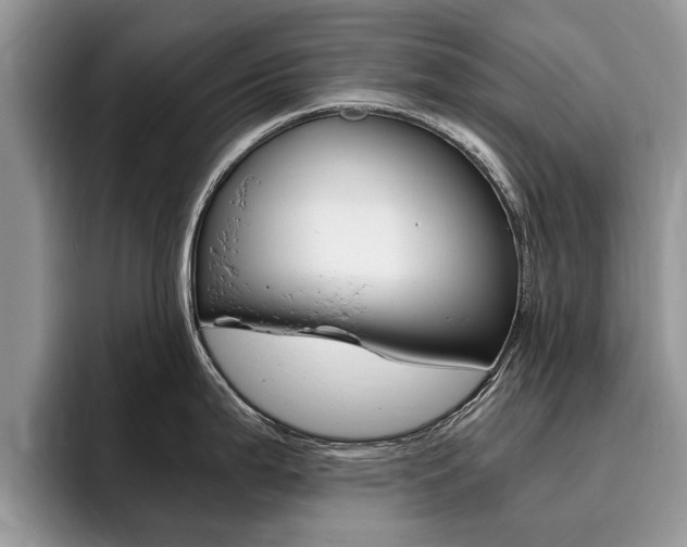 X0000096181199200801180844