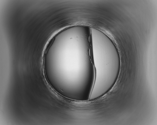 X0000096181200200801180844