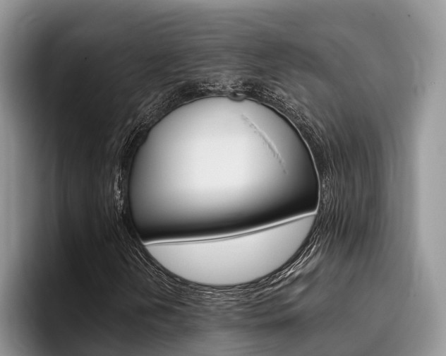 X0000096181202200801180843