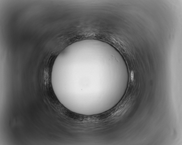 X0000096181203200801180843