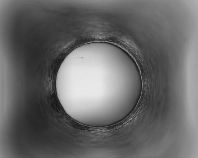 X0000096181205200801180843