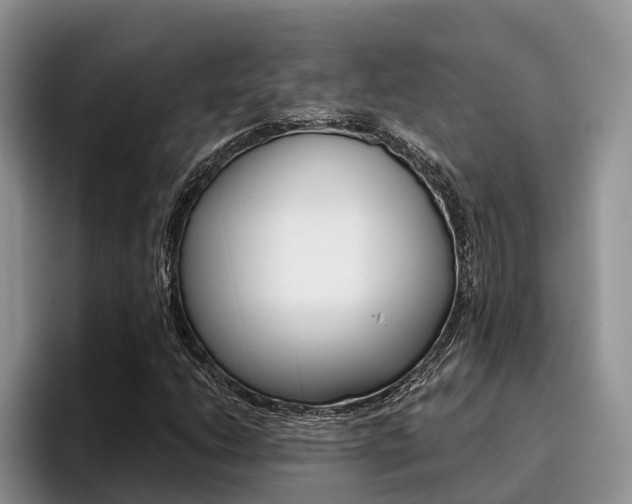 X0000096181206200801180843