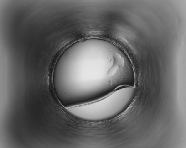 X0000096181209200801180843