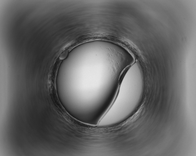 X0000096181210200801180843