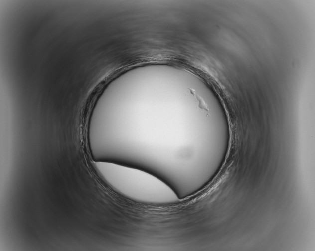 X0000096181211200801180843