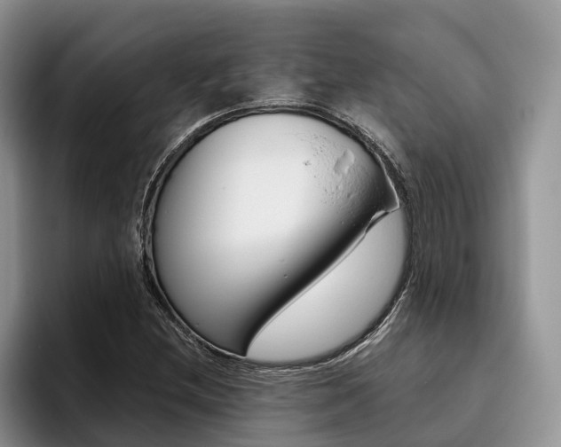 X0000096181212200801180843