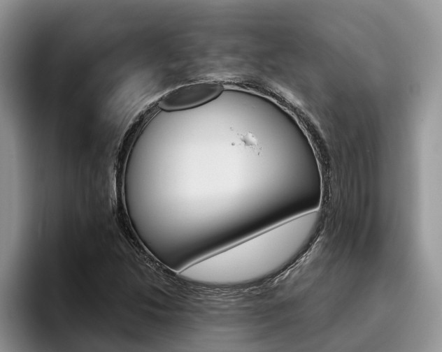 X0000096181214200801180843