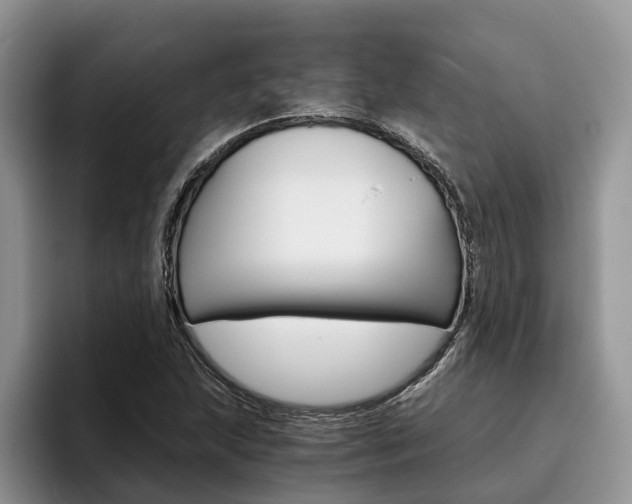 X0000096181215200801180843