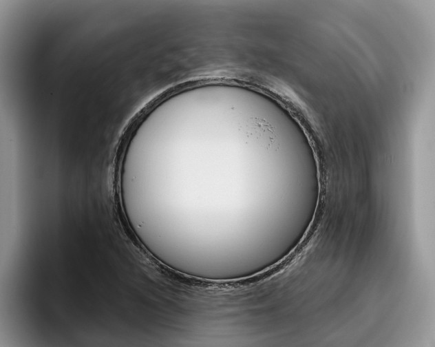 X0000096181216200801180843