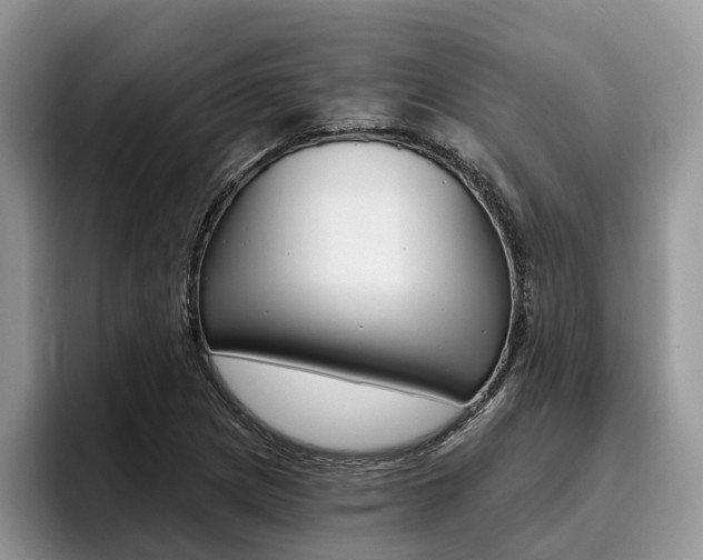 X0000096181217200801180843