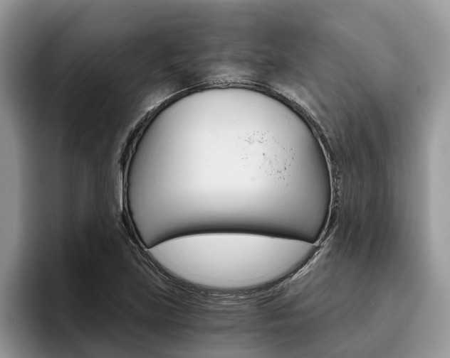 X0000096181219200801180843