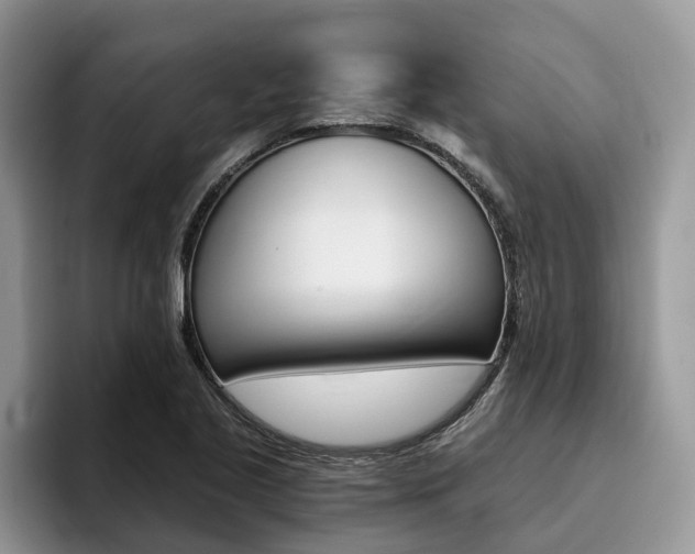 X0000096181221200801180843