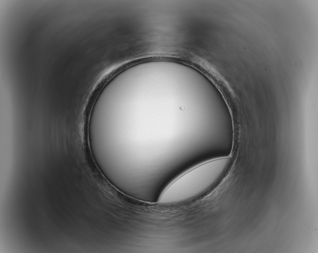 X0000096181222200801180843