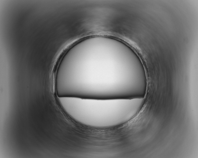 X0000096181223200801180843