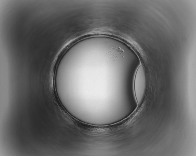X0000096181224200801180843