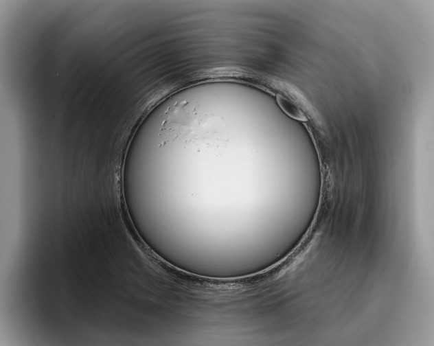 X0000096181225200801180843