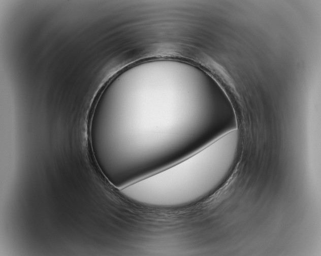 X0000096181226200801180843