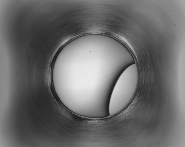 X0000096181227200801180843