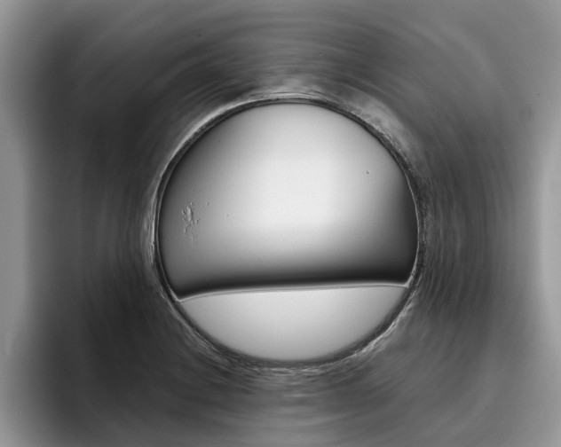 X0000096181228200801180843