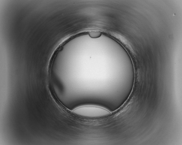 X0000096181229200801180843