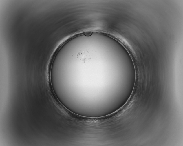 X0000096181230200801180843
