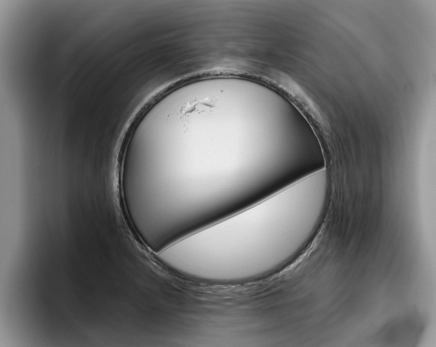 X0000096181232200801180843