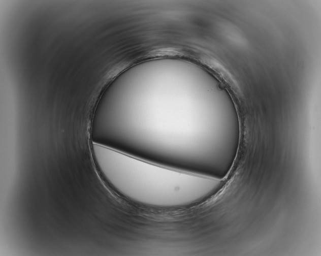 X0000096181233200801180843