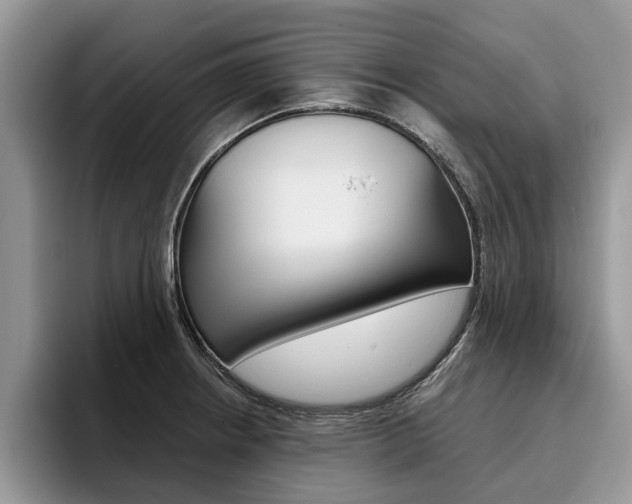 X0000096181234200801180843