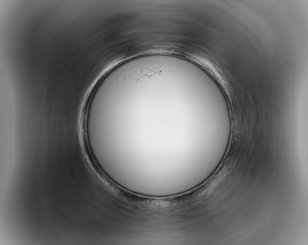 X0000096181235200801180844