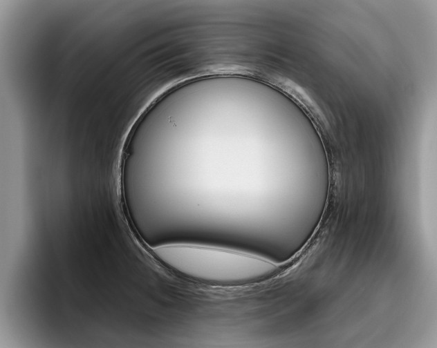 X0000096181236200801180844